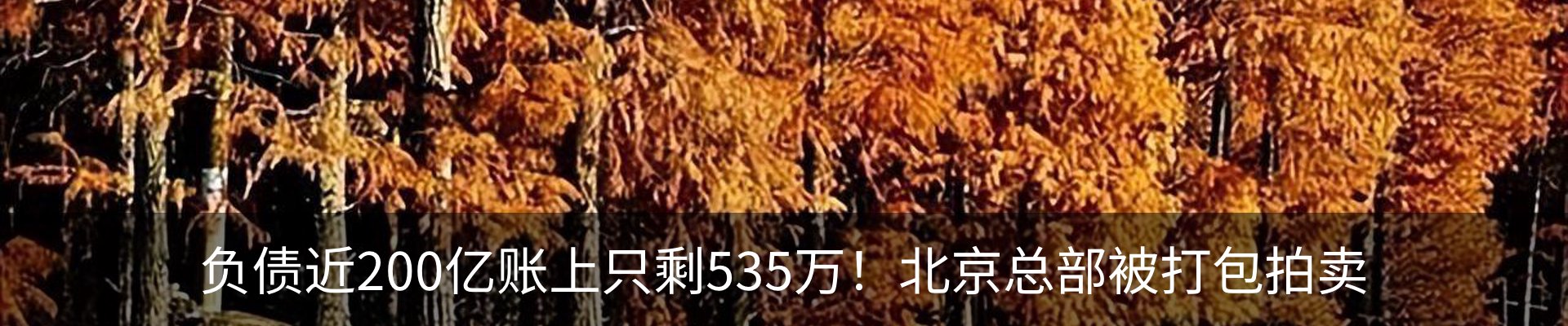 内页banner